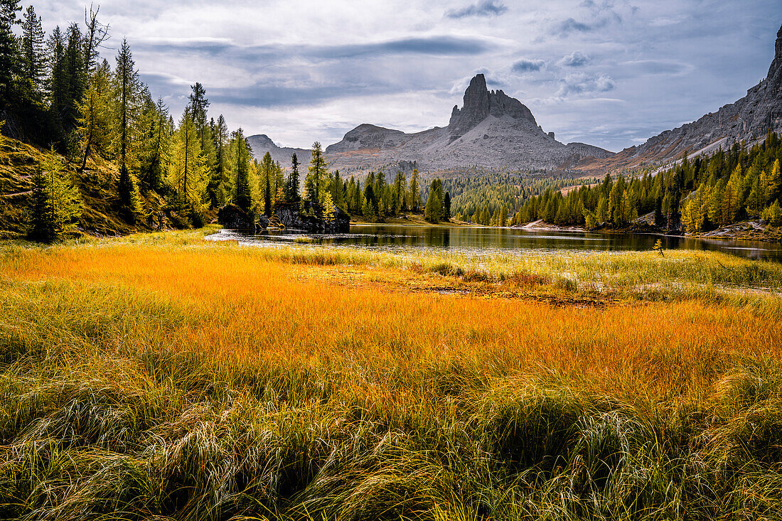 Bergwanderung zur Berghütte Croda da Lago um den Bergsee Lago Federa, Dolomiten, UNESCO Weltnaturerbe Dolomiten, Venetien, Venezien, Italien