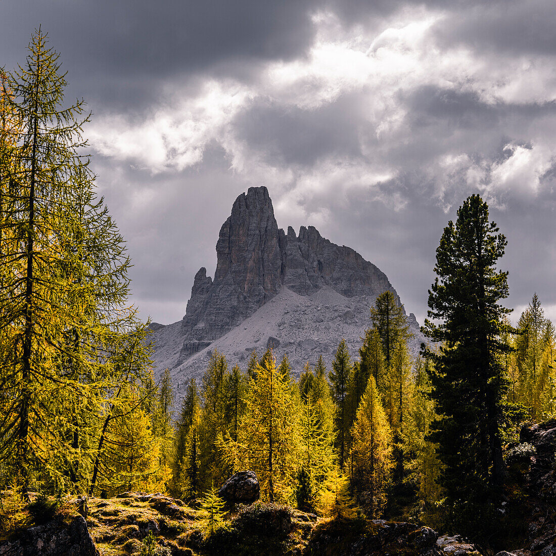 Mountain hike to the Croda da Lago mountain hut around the mountain lake Lago Federa, Dolomites, UNESCO World Heritage Site Dolomites, Veneto, Veneto, Italy