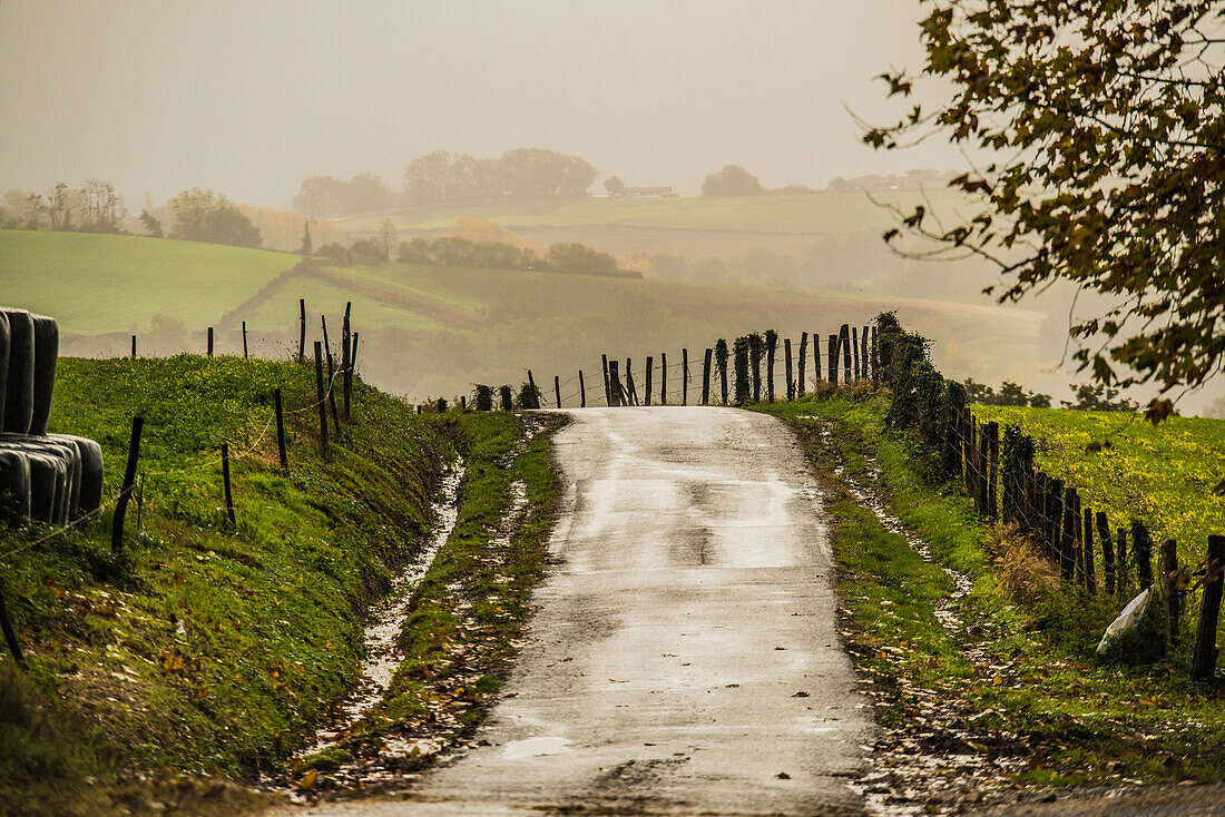 Einsame Landstraße im Herbst, Baskenland, Spanien