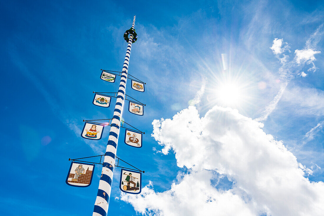 Maypole, Zugspitzplatt, Zugspitze, Partenkirchen, Bavaria, Germany