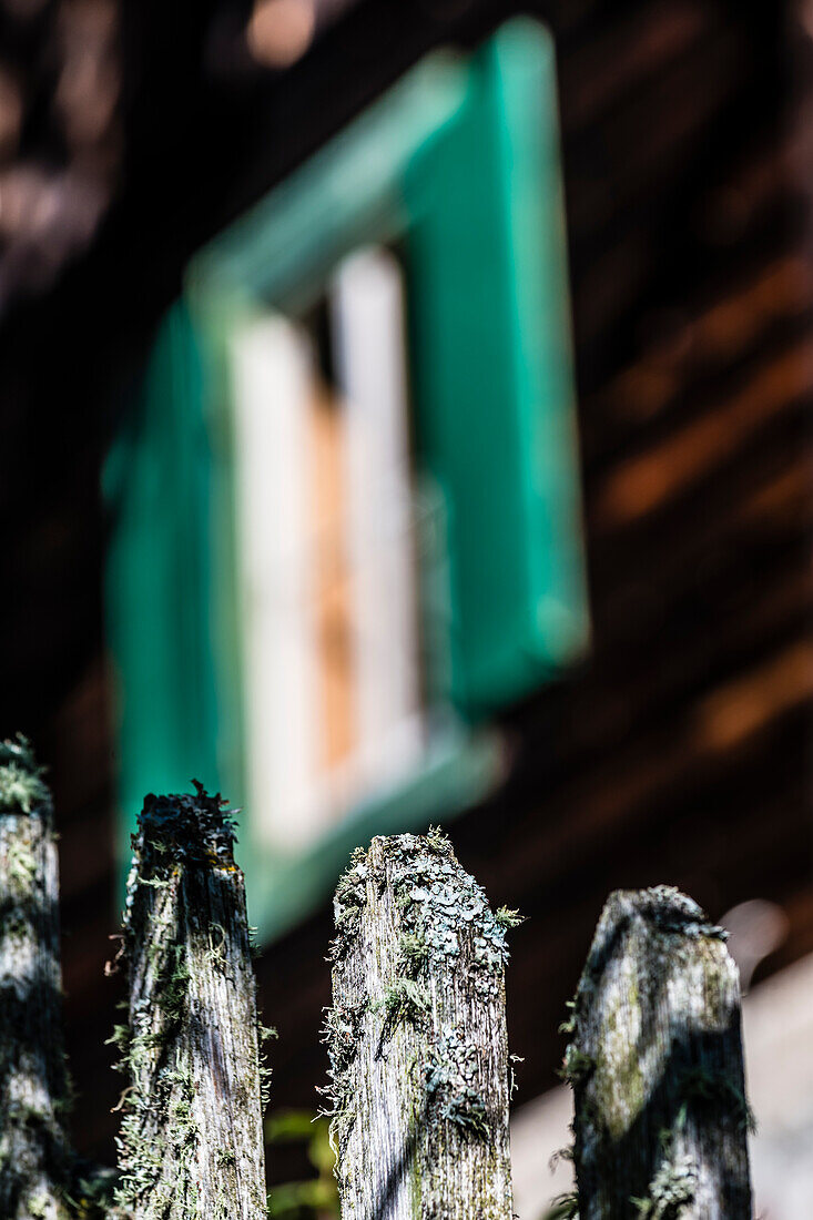 Weathered wooden fence with farmhouse, Truden, South Tyrol, Alto Adige, Italy