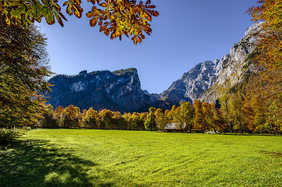 Tourist boat trip/shipping on the Königssee, meadow on the Königssee with St. Bartholomä Church and meadow in front of the Watzmann east wall, Königssee, Berchtesgaden National Park, Berchtesgaden Alps, Upper Bavaria, Bavaria, Germany