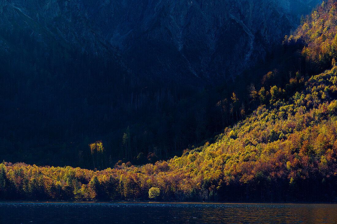 Touristische Bootsfahrt/Schiffahrt auf dem Königssee vor Watzmann-Ostwand, Nationalpark Berchtesgaden, Berchtesgadener Alpen, Oberbayern, Bayern, Deutschland