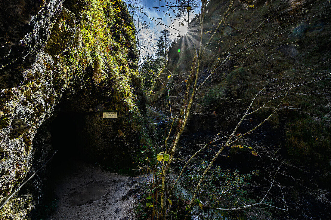 Hiking in the gorge, Almbach, Almbachlamm, gorge, canyon, gorge, Berchtesgaden National Park, Berchtesgaden Alps, Upper Bavaria, Bavaria, Germany