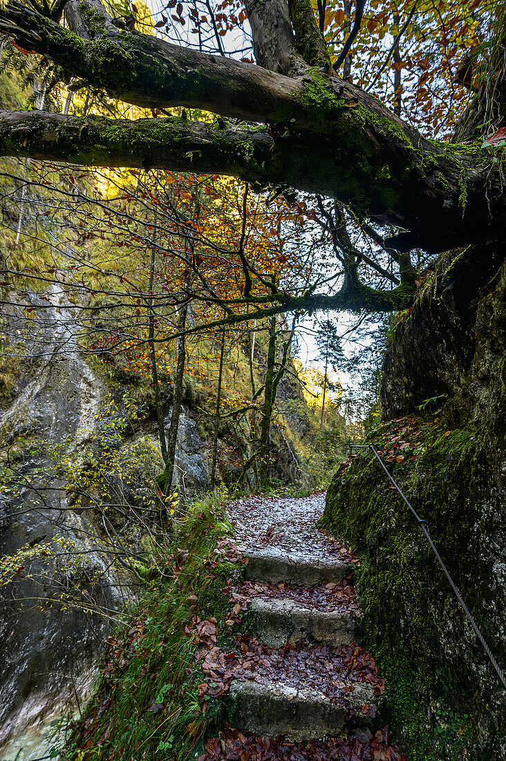 Hiking in the gorge, Almbach, Almbachlamm, gorge, canyon, gorge, Berchtesgaden National Park, Berchtesgaden Alps, Upper Bavaria, Bavaria, Germany
