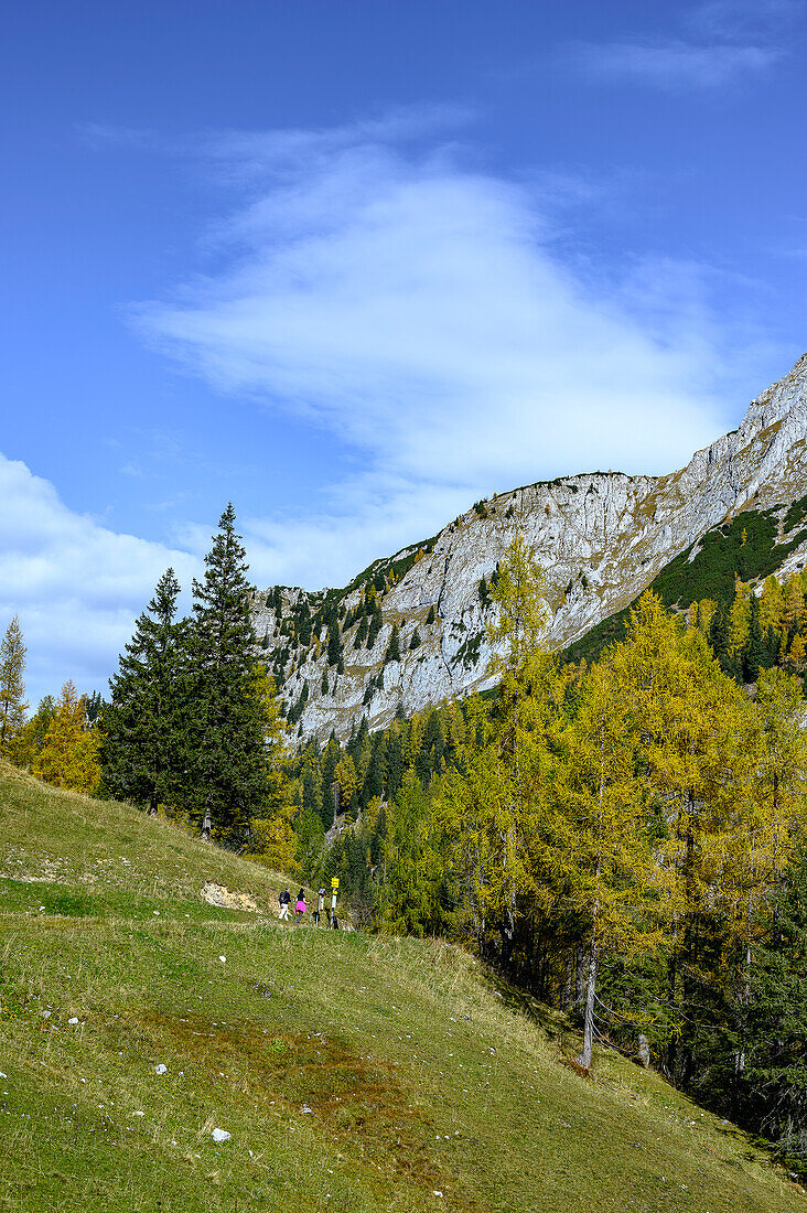 At the Alm Mitterkaseralm, hiking on Mount Jenner at Königssee in the Bavarian Alps, Königssee, Berchtesgaden National Park, Berchtesgaden Alps, Upper Bavaria, Bavaria, Germany