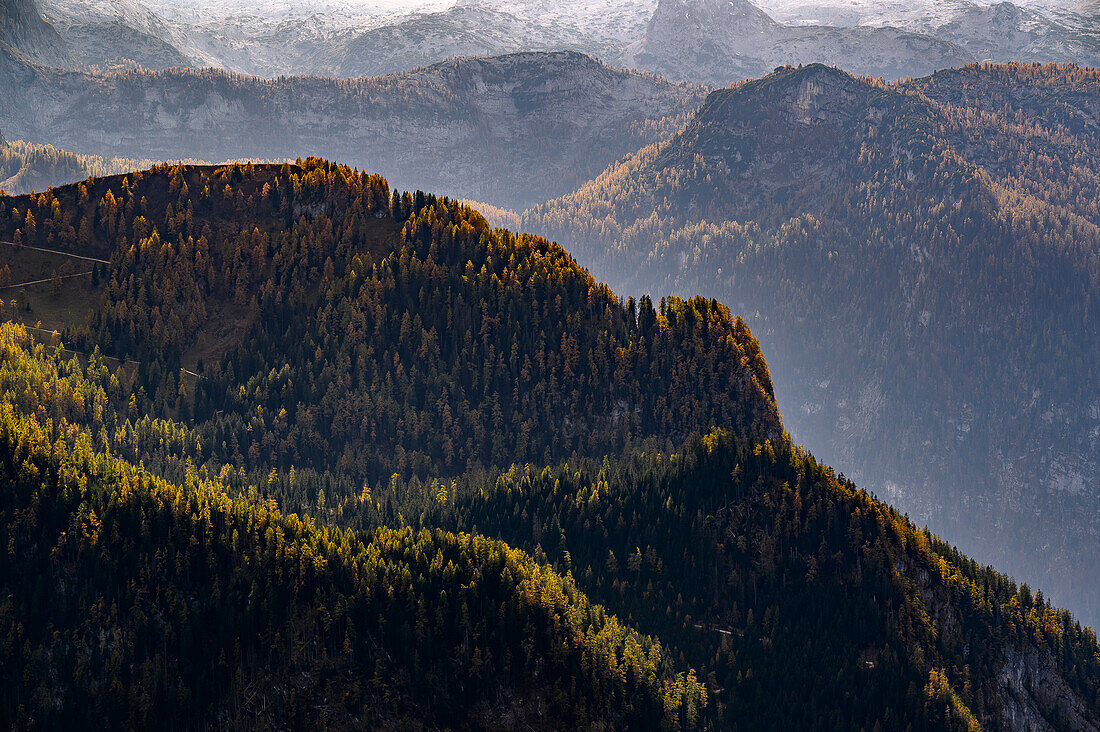 View from Jenner to mountains, hiking on Mount Jenner at Königssee in the Bavarian Alps, Königssee, Berchtesgaden National Park, Berchtesgaden Alps, Upper Bavaria, Bavaria, Germany