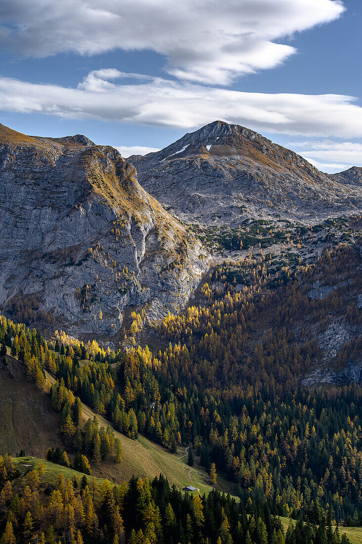 View from the Mitterkaseralm alpine pasture to mountains, hiking on Mount Jenner at Königssee in the Bavarian Alps, Königssee, Berchtesgaden National Park, Berchtesgaden Alps, Upper Bavaria, Bavaria, Germany