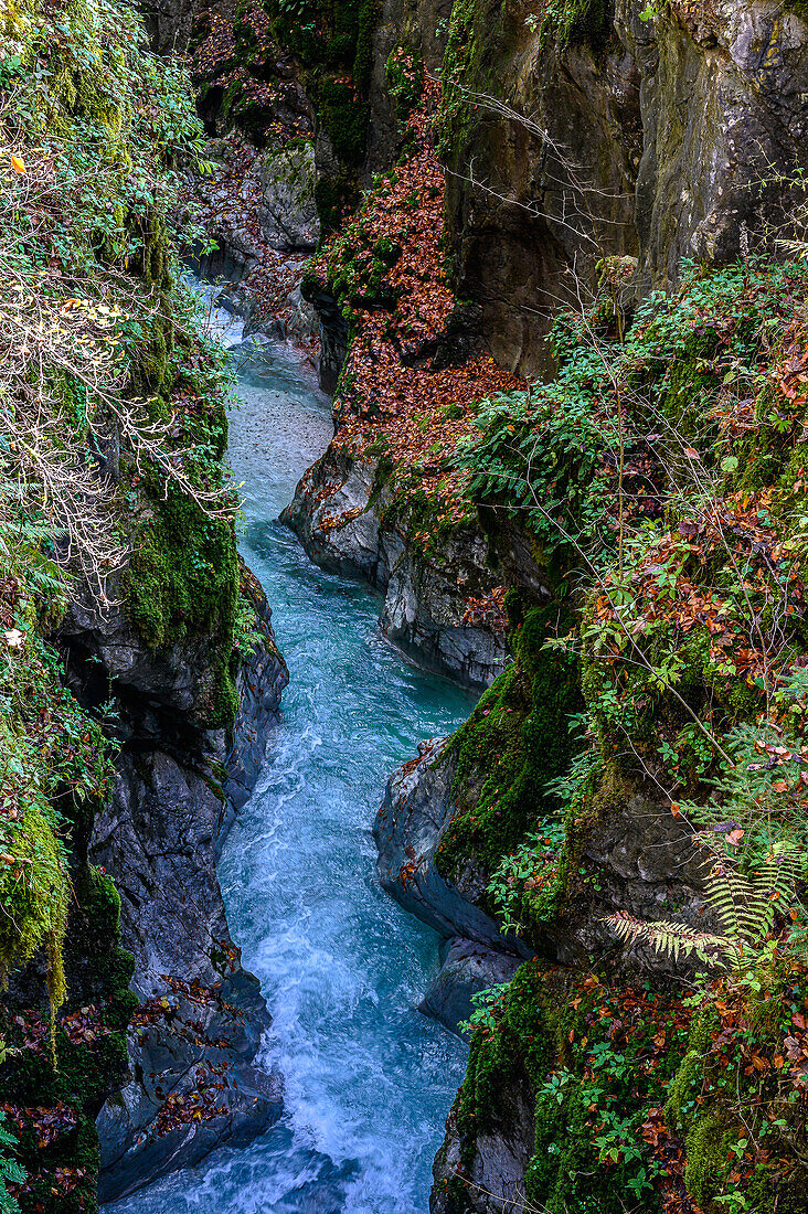 Wall trail nature trail on the stream/river Ramsauer Ache, hiking in the magic forest at Hintersee in the mountaineering village of Ramsau. Ramsau near Berchtesgaden, at the Watzmann and Königssee, Berchtesgaden National Park, Berchtesgaden Alps, Upper Bavaria, Bavaria, Germany