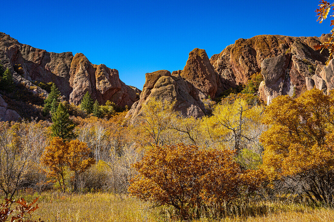 Autumn colors highlighted against the red rocks and blue sky in Roxborough State Park in Colorado