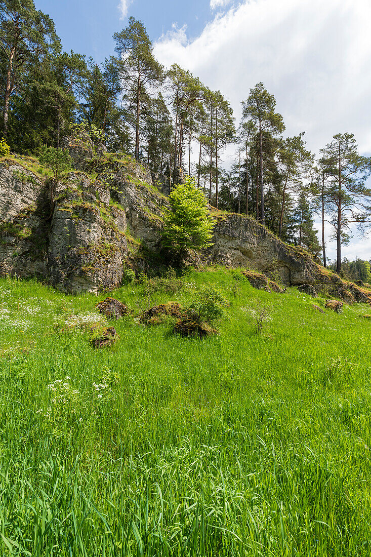 The Langerstein rock formation in the Paradiestal, Franconian Switzerland, municipality of Stadelhofen, Bamberg district, Upper Franconia, Bavaria, Germany