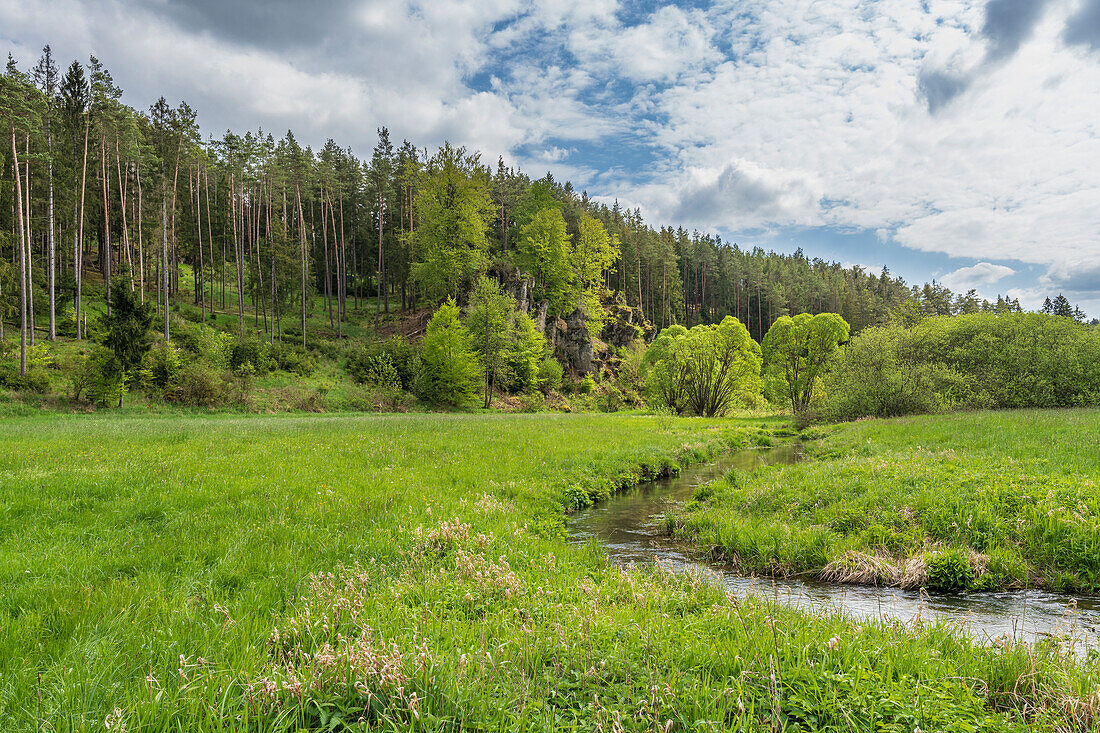 The Wiesent in the Paradiestal, Franconian Switzerland, municipality of Stadelhofen, Bamberg district, Upper Franconia, Bavaria, Germany