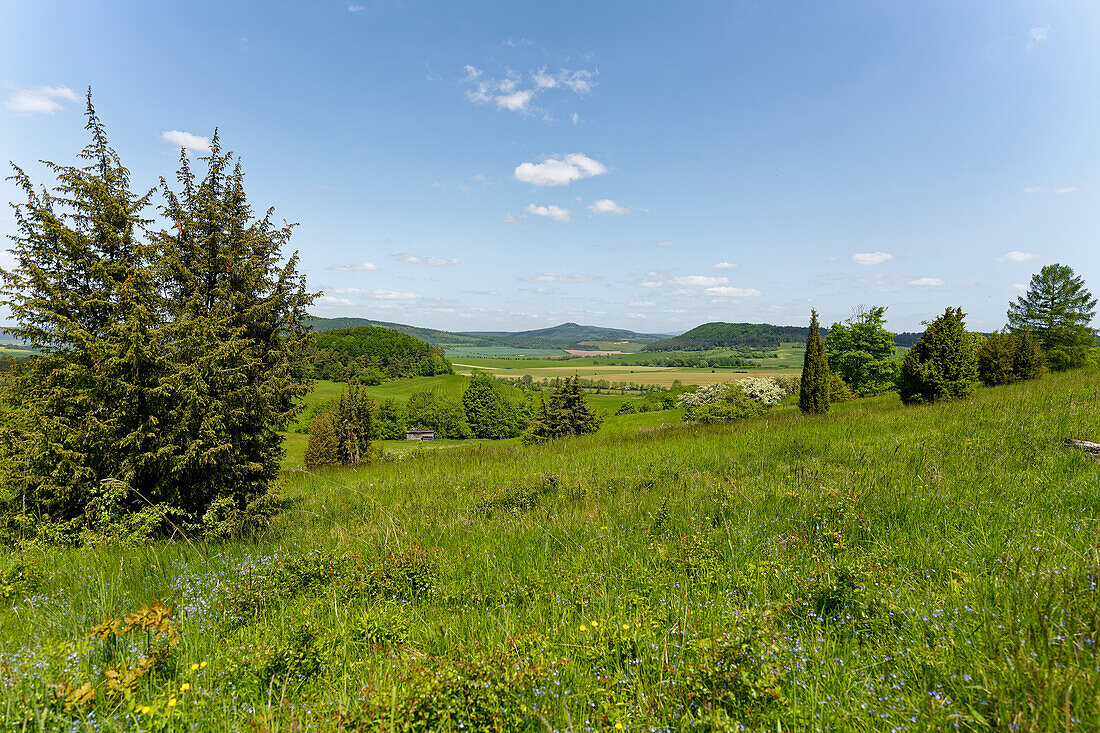 Landscape in the Wiesenthal Switzerland nature reserve, Rhön Biosphere Reserve, Wiesenthal municipality, Wartburgkreis, Thuringia, Germany