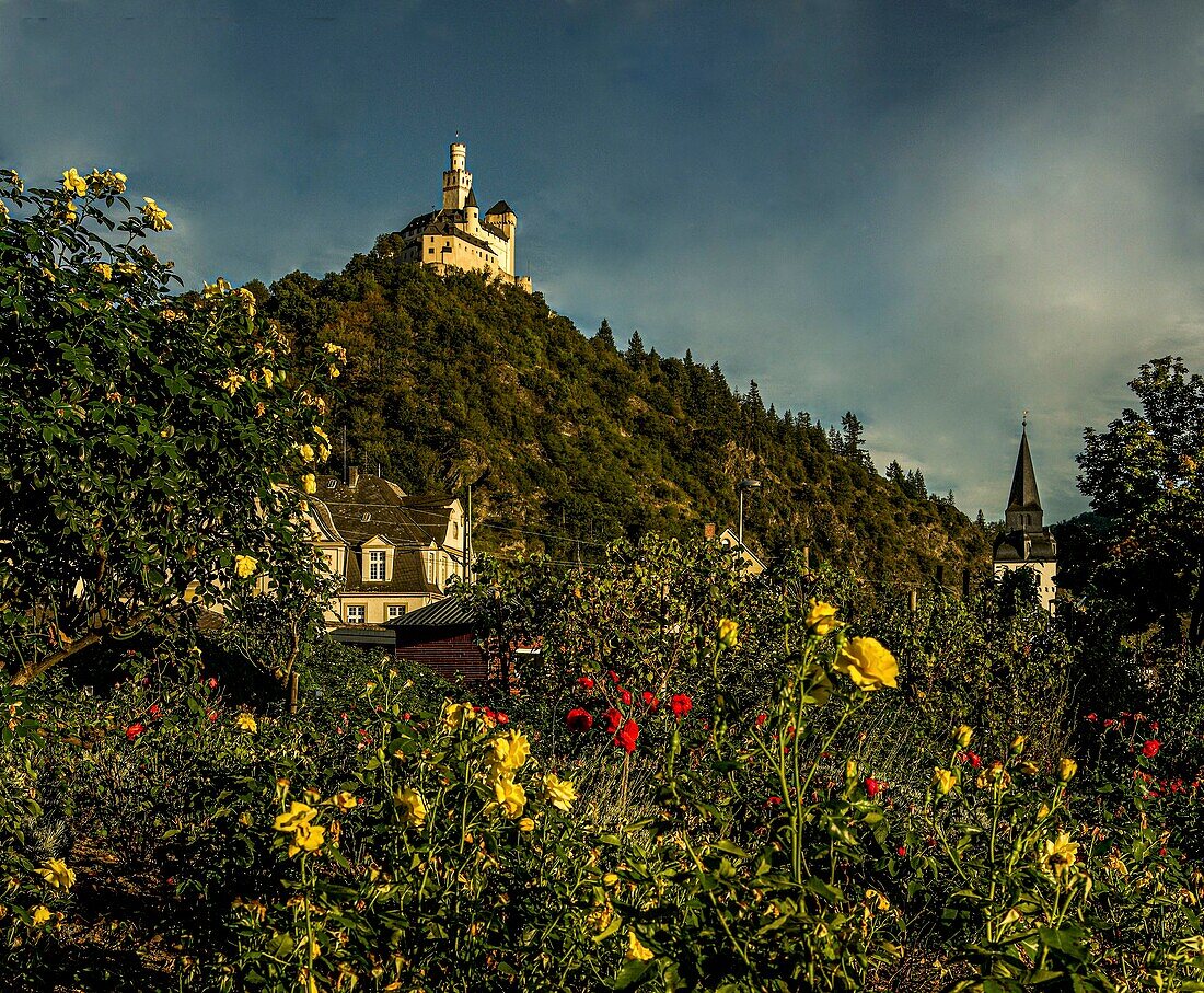 View from the Rheinpark in Braubach to the Marksburg, Upper Middle Rhine Valley, Rhineland-Palatinate, Germany