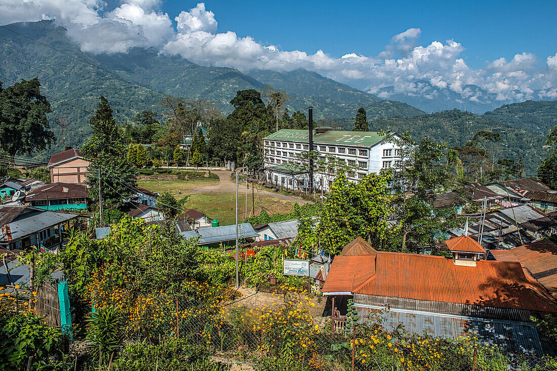 Fabrikgebäude der Tumsong-Plantage, idyllisch inmitten der Teegärten gelegen. Links daneben hinter den Bäumen das Gästehaus im Kolonialstil. Darjeeling, West-Bengalen, Indien