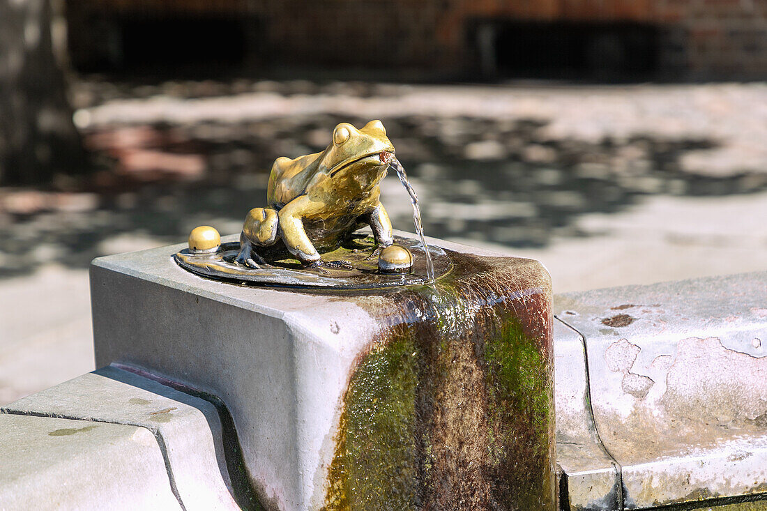 Golden frog at the raft monument (statuetka Flisaka) at the Old Town Market (Rynek Staromiejski) and Old Town Hall (Ratusz Staromiejski) in Toruń (Thorn, Torun) in the Kujawsko-Pomorskie Voivodeship in Poland