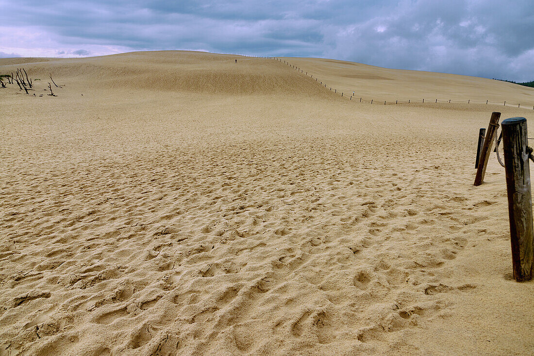 Moving dune Łącka Góra (Lanske Dune, Lacka Gora; Lonske Dune) and Polish Sahara in Słowiński Park Narodowy (Slowinski National Park) in Pomorskie Voivodeship in Poland after a storm