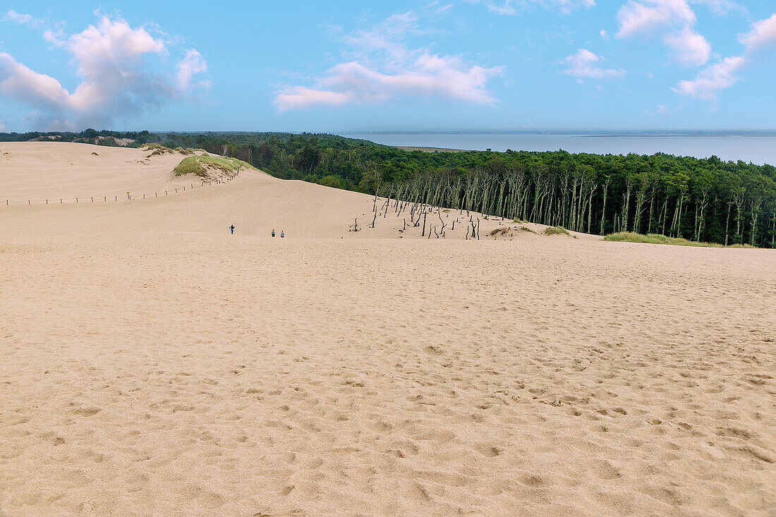 Moving dune Łącka Góra (Lanske Dune, Lacka Gora; Lonske Dune) and Polish Sahara in Słowiński Park Narodowy (Slowinski National Park) with a view of pine forest and Baltic Sea in Pomorskie Voivodeship in Poland