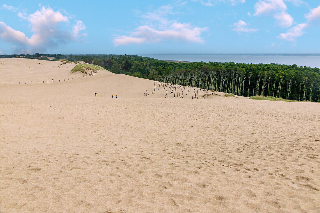 Wanderdüne Łącka Góra (Lansker Düne, Lacka Gora; Lonske Düne) und polnische Sahara im Słowiński Park Narodowy (Slowinzischer Nationalpark) mit Blick auf Kiefernwald und Ostsee in der Wojewodschaft Pomorskie in Polen