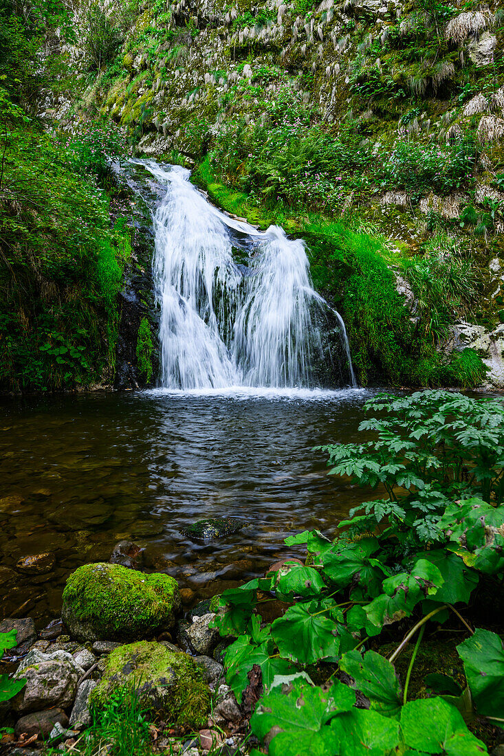 All Saints Waterfalls near Oppenau, Oberkirch, Renchtal, Baden-Württemberg, Germany