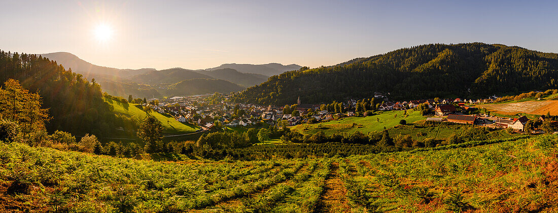 Oppenau im sommerlichen Abendlicht, Oppenau, Renchtal, Baden-Württemberg, Deutschland