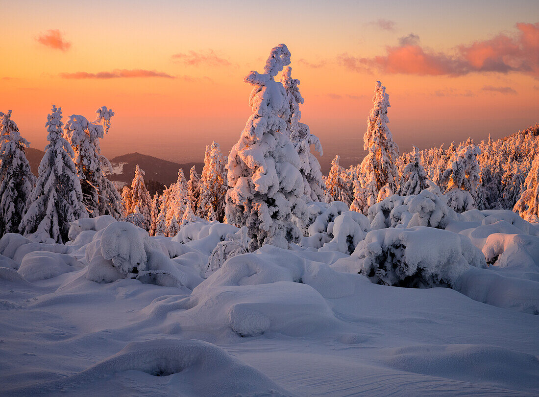 Wintry sunset at Schliffkopf, Black Forest, Baden-Württemberg, Germany