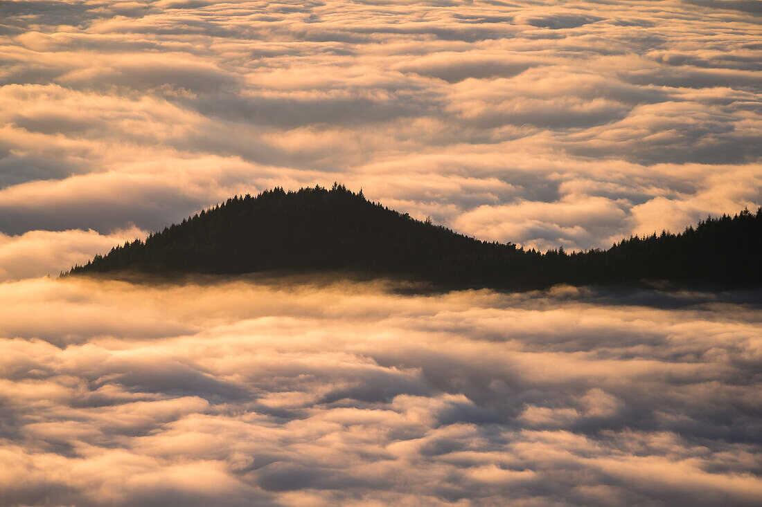 Nebel über der Rheinebene, Schwarzwald, Baden-Württemberg, Deutschland