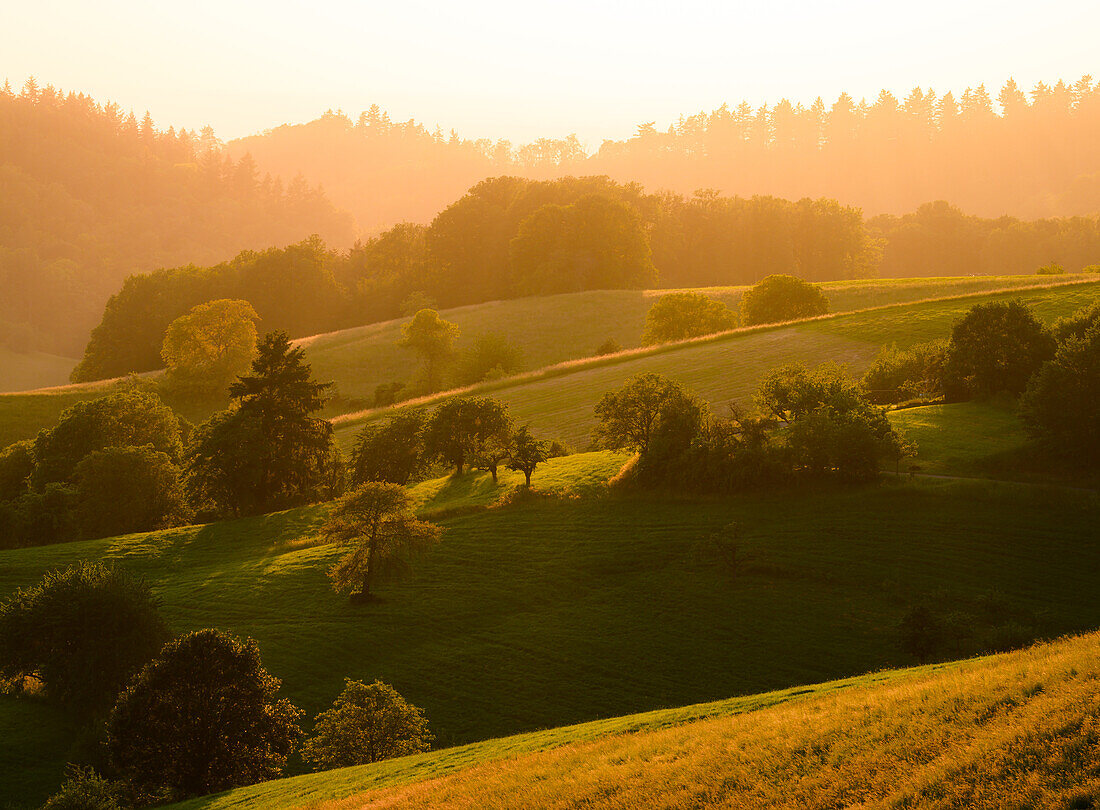 Hilly landscape in the Odenwald, Odenwald, Hesse, Germany