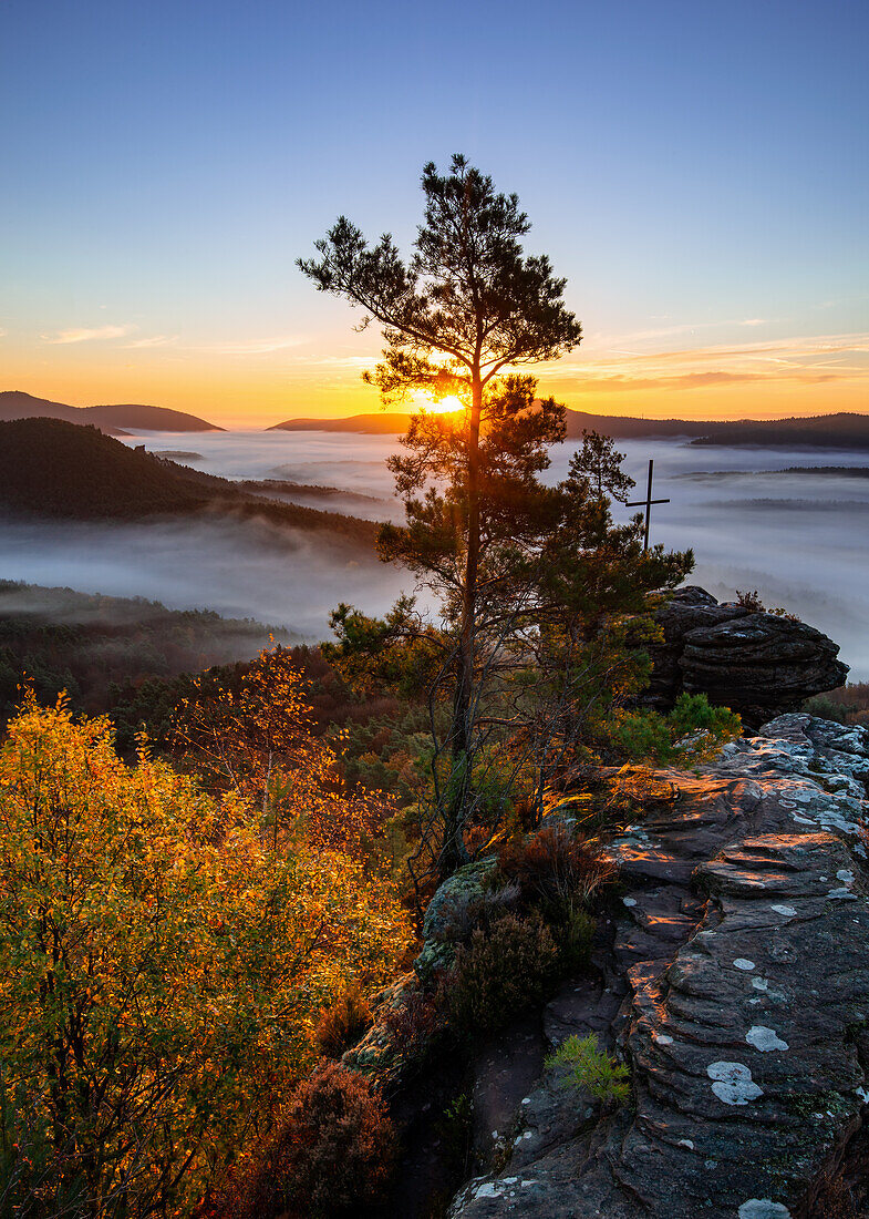 Rötzenfelsen at sunrise, Palatinate Forest, Rhineland-Palatinate, Germany