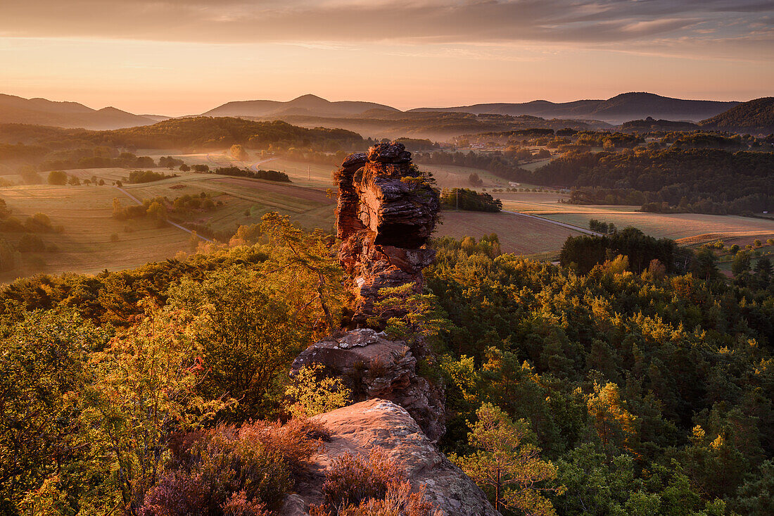 Luger vulture stones in the morning light, Palatinate Forest, Rhineland-Palatinate, Germany