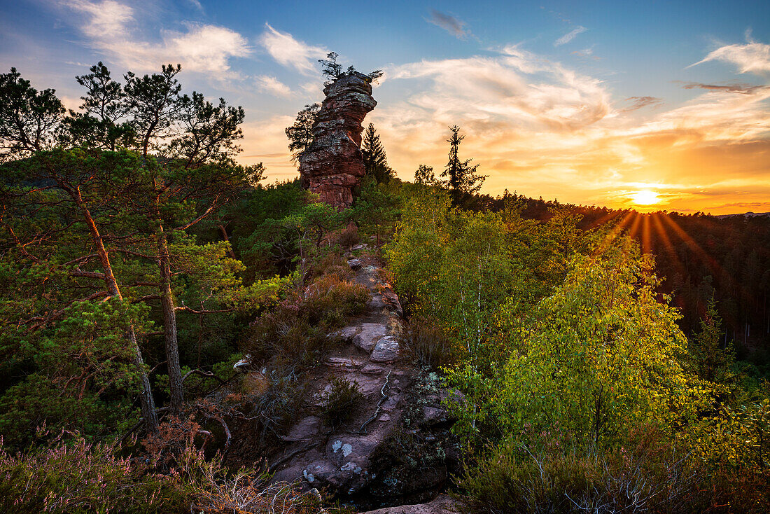 Lämmerfelsen at sunset, Palatinate Forest, Rhineland-Palatinate, Germany