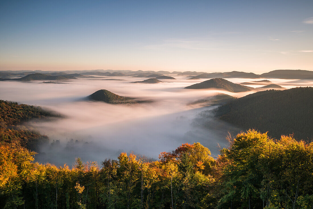 Sea of fog over Nothweiler, Palatinate Forest, Rhineland-Palatinate, Germany