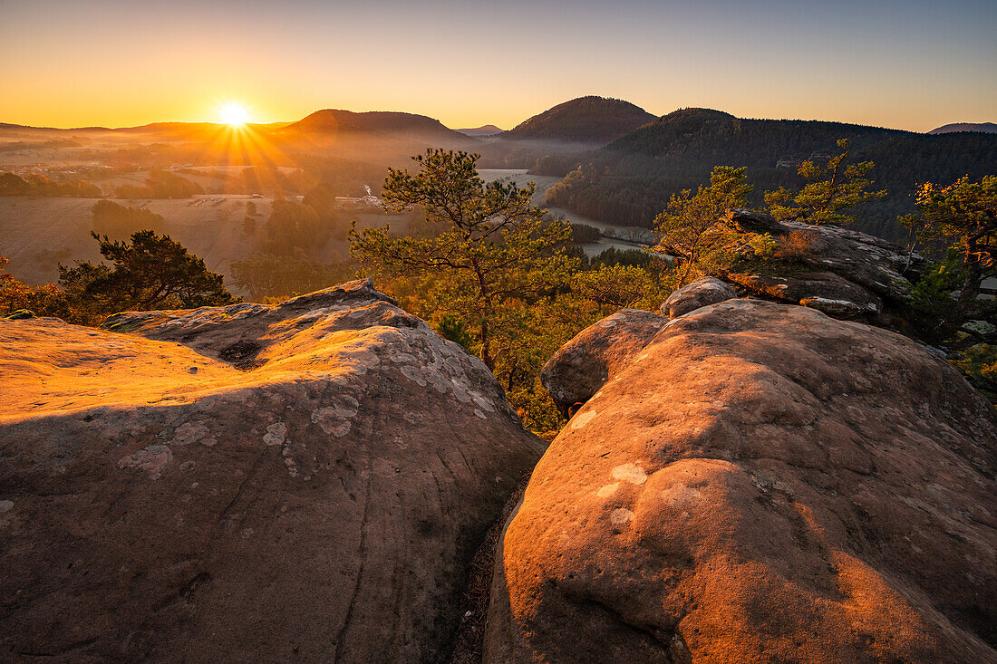 Sprinzelfelsen with fog at sunrise, Palatinate Forest, Rhineland-Palatinate, Germany