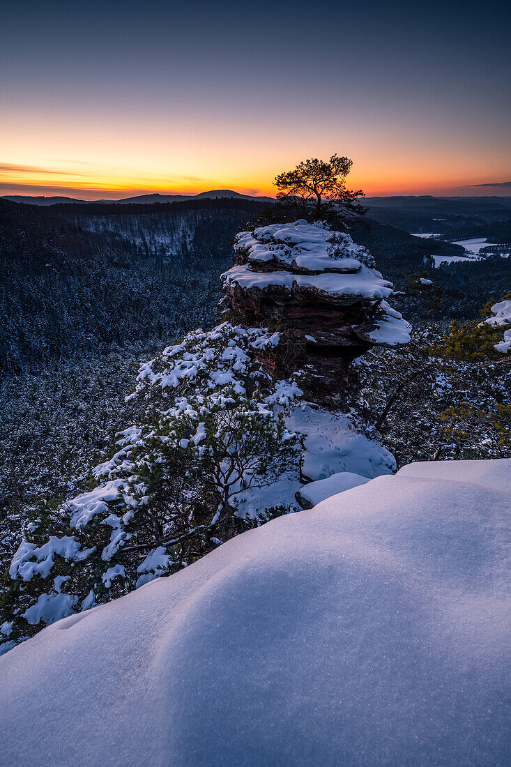 Buchkammerfels im Winter, Pfälzerwald, Rheinland-Pfalz, Deutschland