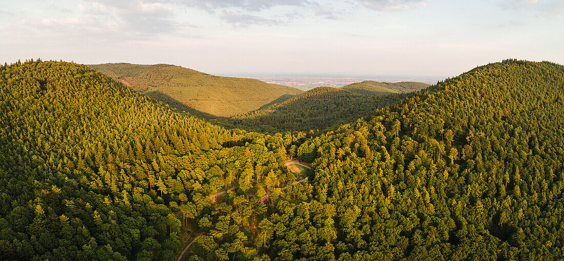 Luftpanorama, Pfälzerwald, Rheinland-Pfalz, Deutschland