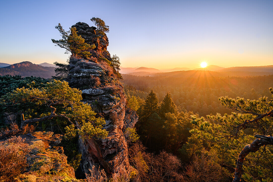 Lämmerfelsen at sunrise in January, Dahn, Palatinate Forest, Rhineland-Palatinate, Germany