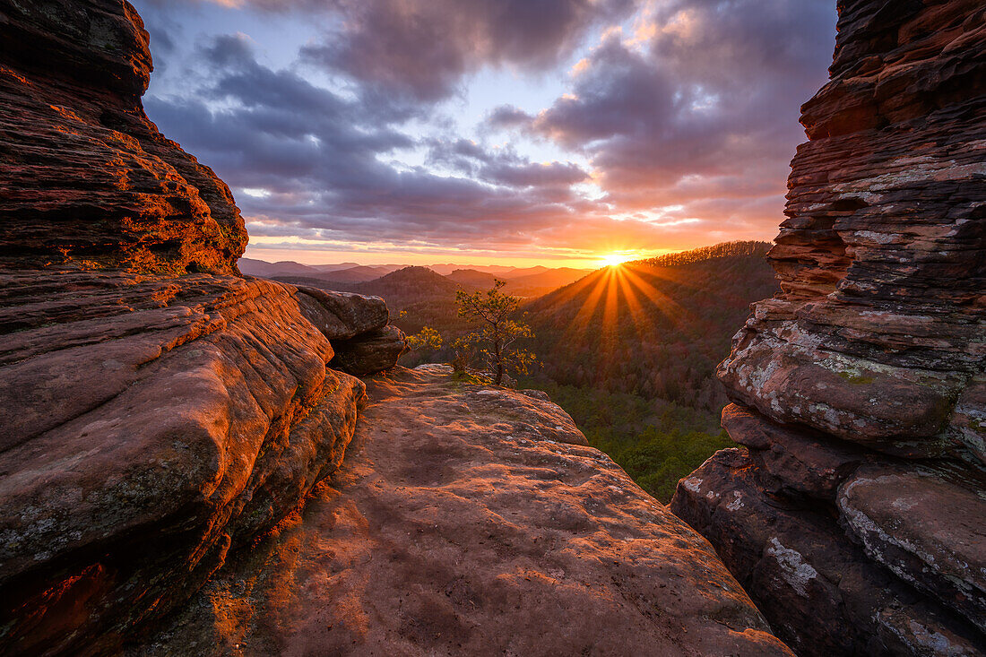 Sonnenuntergang am Rötzenfelsen im Januar, Pfälzerwald, Rheinland-Pfalz, Deutschland