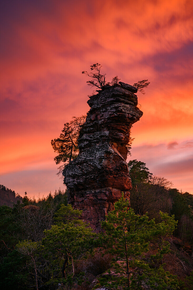 Abendrot am Lämmerfelsen, Dahn, Pfälzerwald, Rheinland-Pfalz, Deutschland