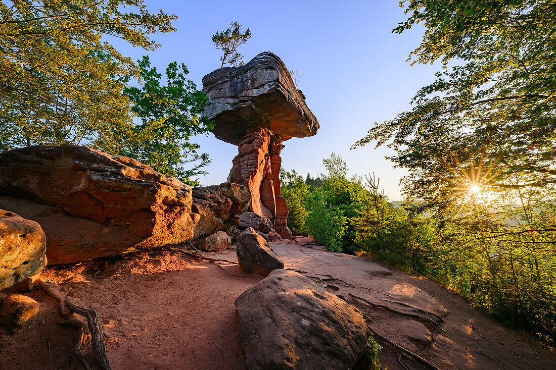 Teufelstisch bei Sonnenaufgang, Hinterweidenthal, Rheinland-Pfalz, Deutschland