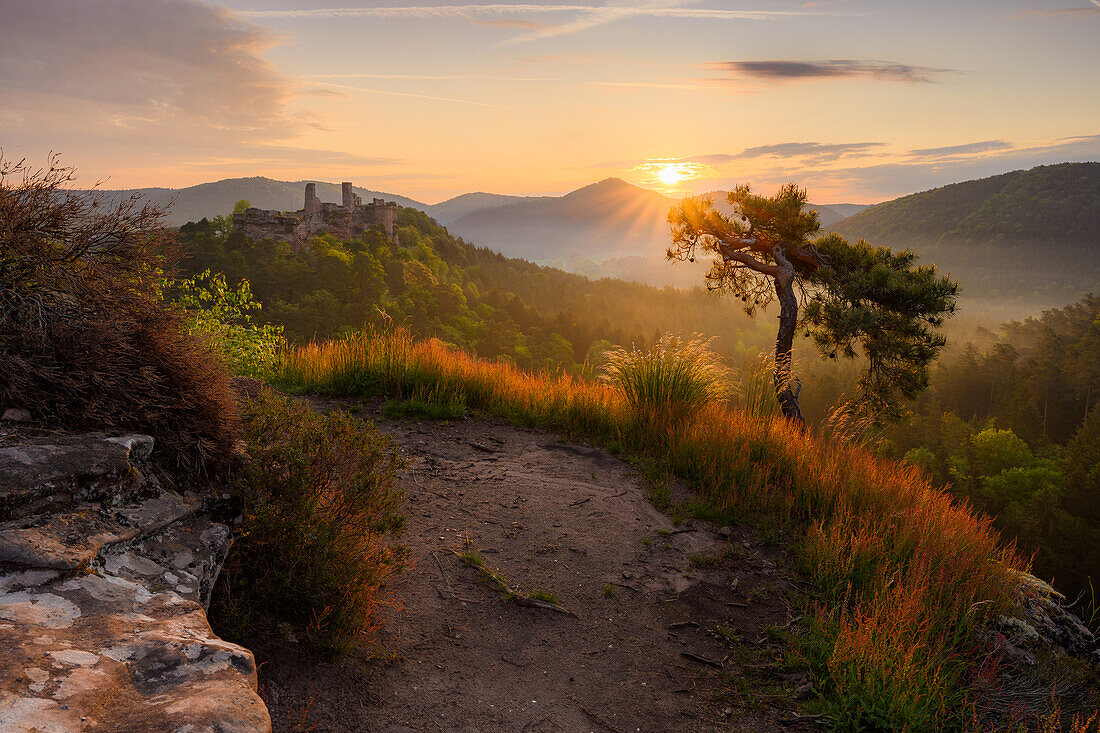 Sunrise at the Haferfelsen, Palatinate Forest, Rhineland-Palatinate, Germany