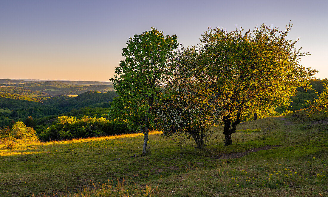 Ausblick ins Falkensteiner Tal, Pfälzerwald, Rheinland-Pfalz, Deutschland