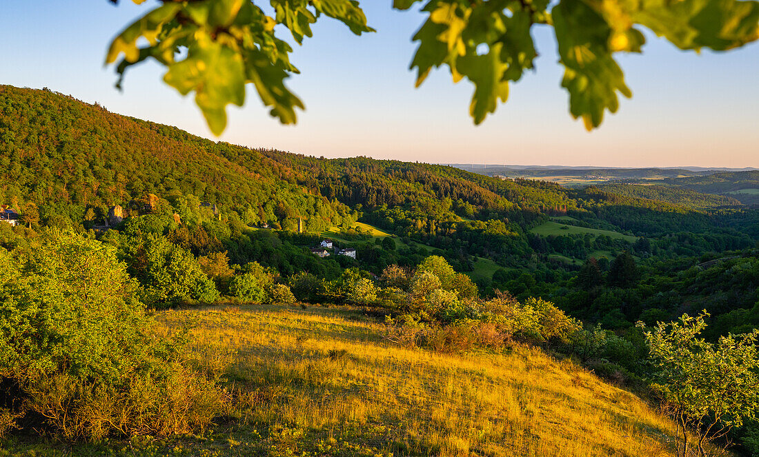 Ausblick ins Falkensteiner Tal, Pfälzerwald, Rheinland-Pfalz, Deutschland