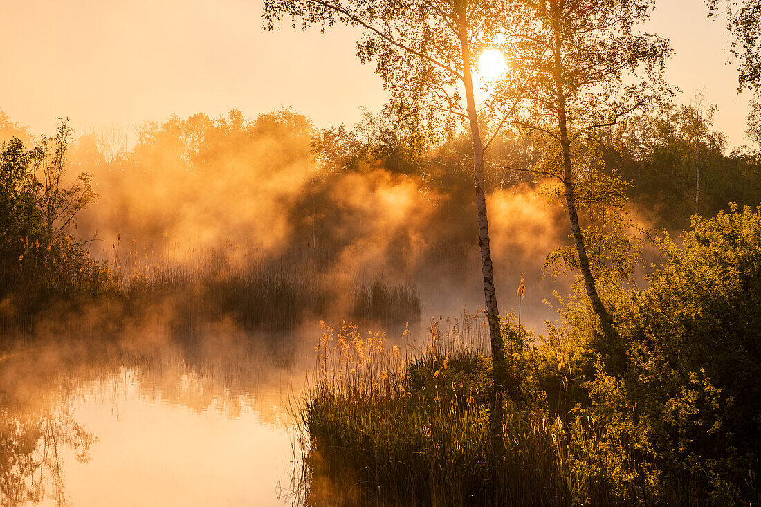 Sunrise in Erdekaut, Eisenberg, Rhineland-Palatinate, Germany