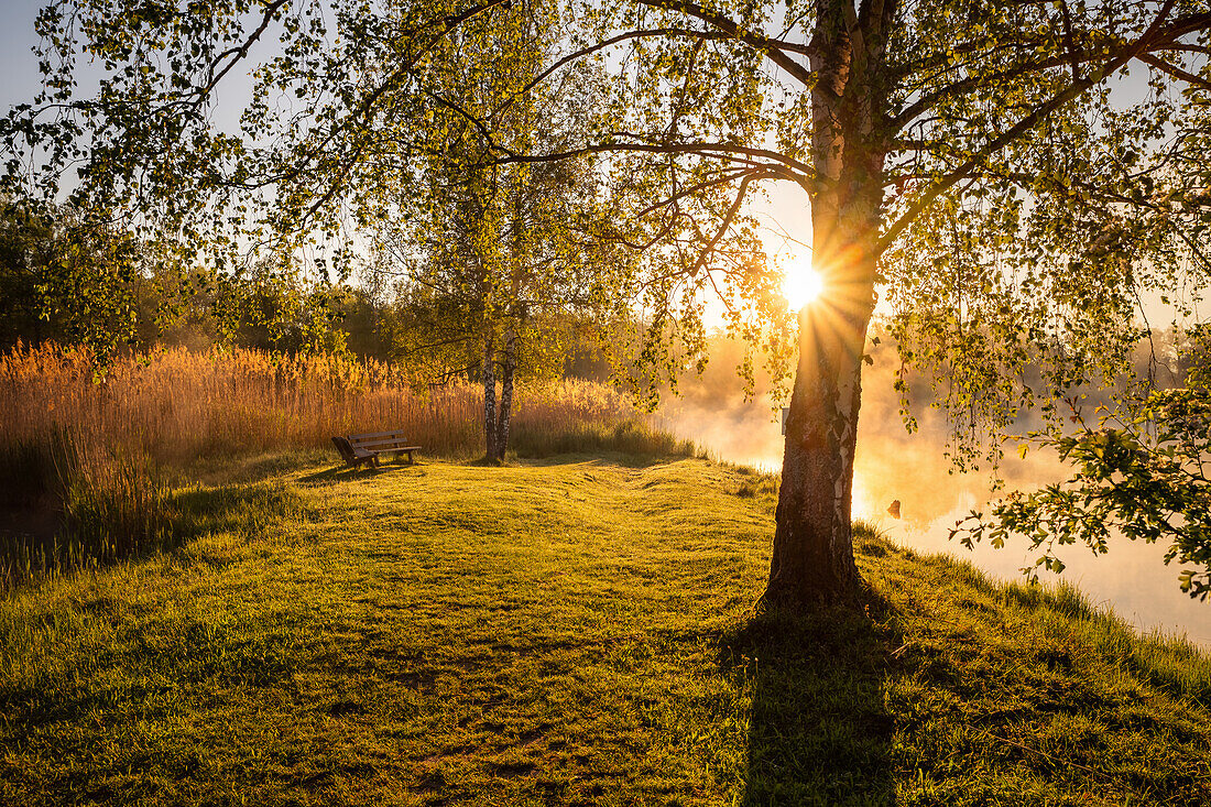 Sonnenaufgang im Erdekaut, Eisenberg, Rheinland-Pfalz, Deutschland