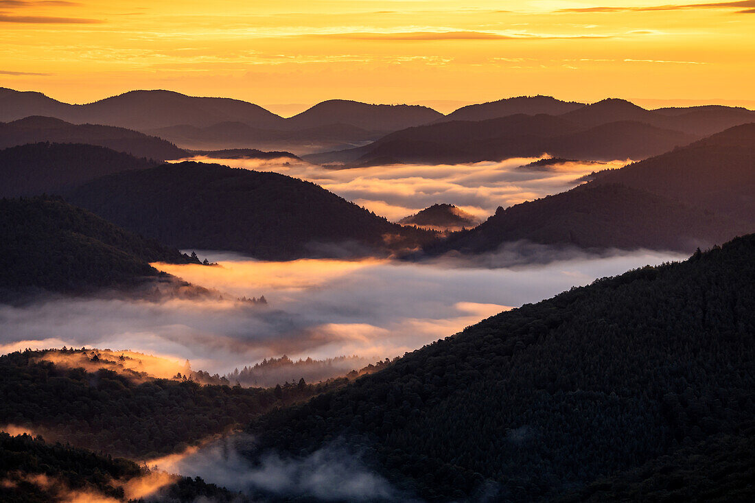 nebel in den Tälern des Pfälzerwaldes, Pfälzerwald, Rheinland-Pfalz, Deutschland