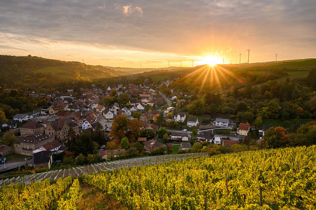 Sonnenuntergang mit Weinberge bei Obermoschel, Rheinland-Pfalz, Deutschland