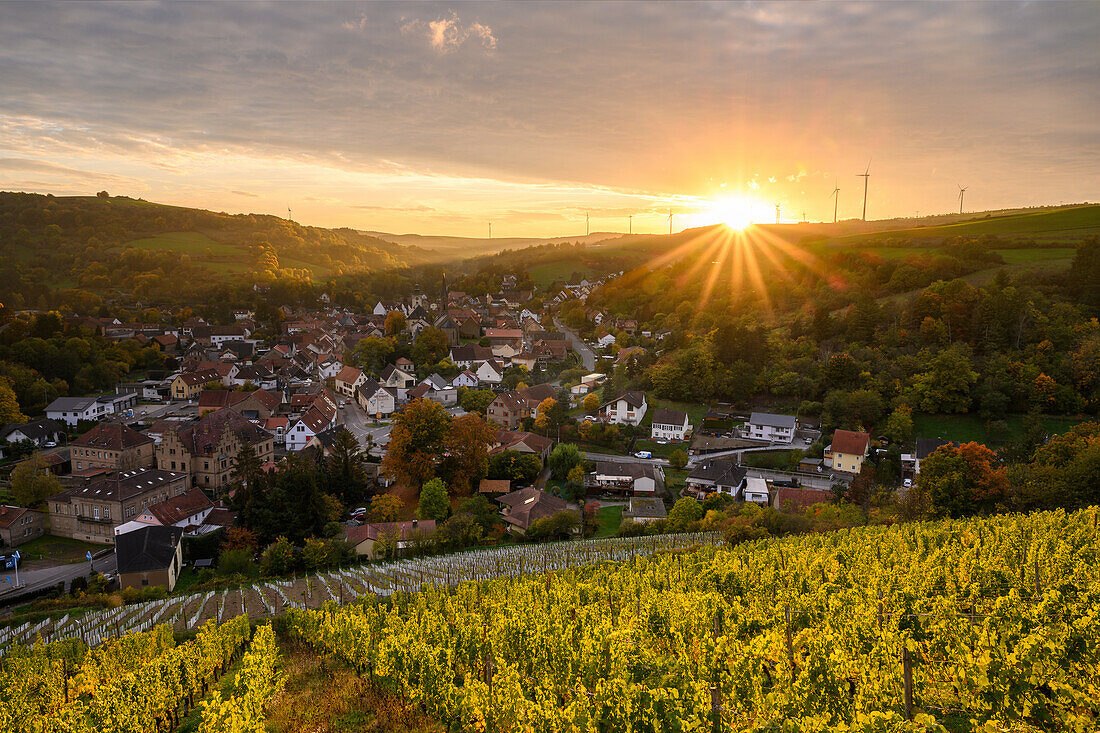 Sunset with vineyards near Obermoschel, Rhineland-Palatinate, Germany