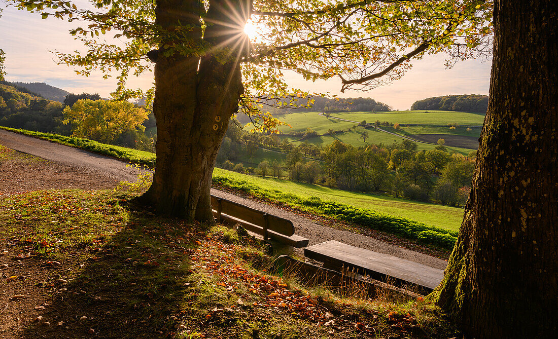 Aussichtspunkt im Marienthal, Donnersberger Land, Rheinland-Pfalz, Deutschland