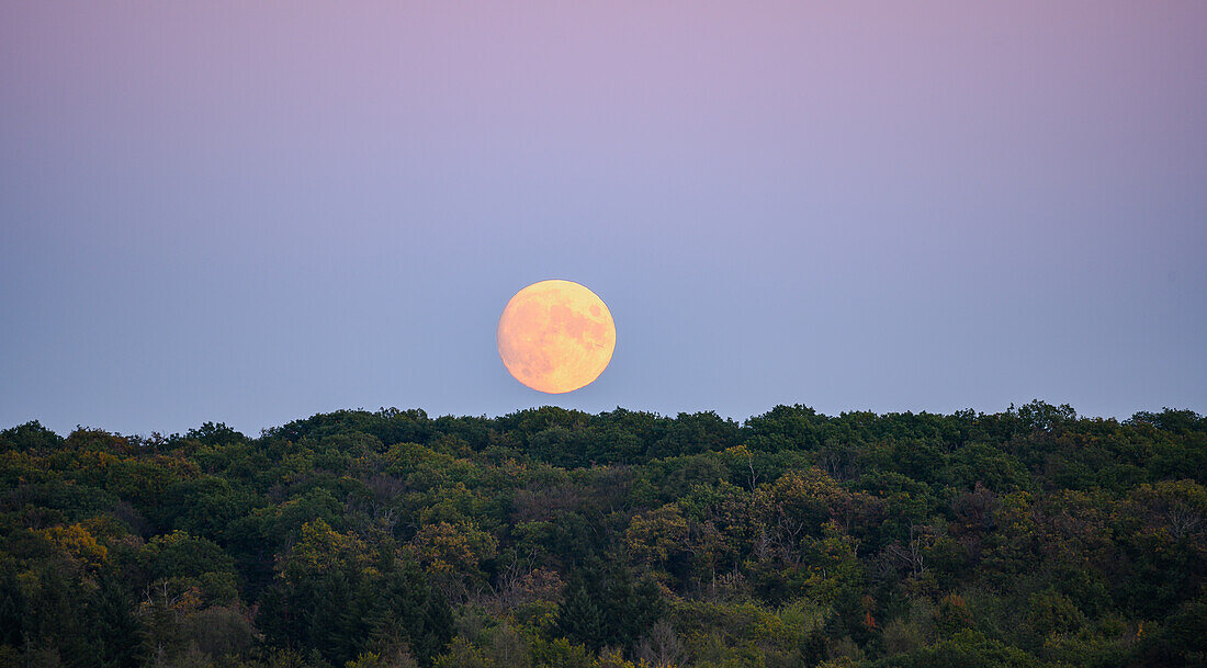 Moonrise in Donnersbergkreis, Rhineland-Palatinate, Germany