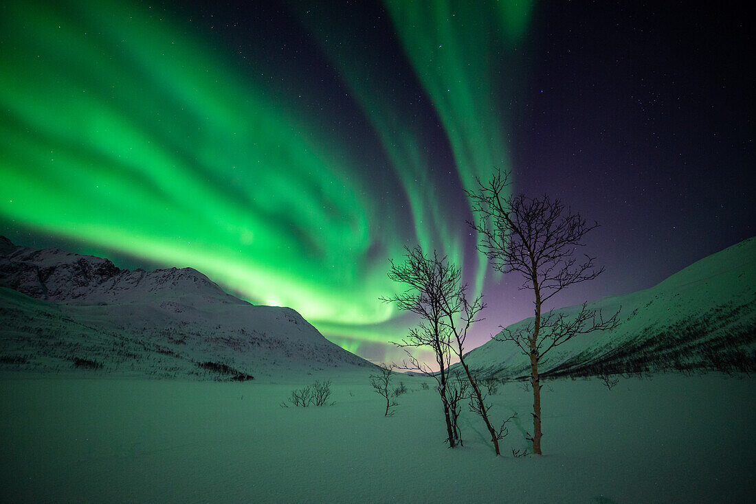 Nordlichter bei Tromsö, Norwegen